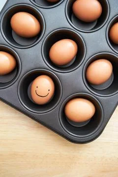 Eggs on the oven pan Stock Photos