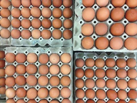 Eggs pack a lot of the same sort Stock Photos