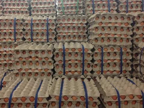 Eggs pack a lot of the same sort Stock Photos