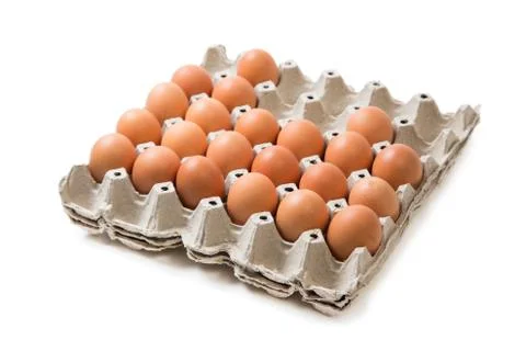 Eggs pack panel ingredient prepare for food in isolated on white background Stock Photos