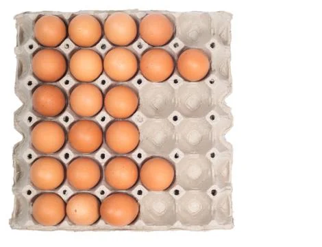 Eggs pack panel ingredient prepare for food in restaurant isolated on white Stock Photos