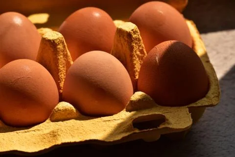 Eggs in the package. Eggs. Ready for cooking chicken eggs. Natural organic ch Stock Photos