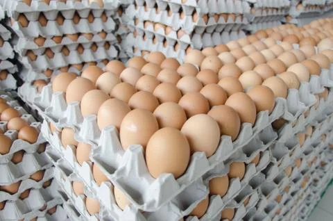Eggs in the package of gray paper Stock Photos