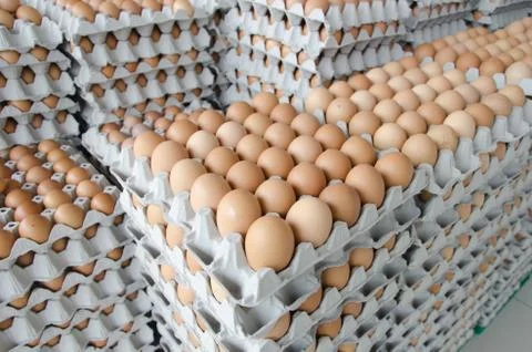 Eggs in the package of gray paper Foto stock