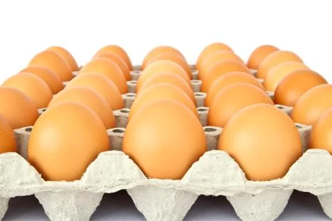 Eggs in a package to isolate the background Stock Photos