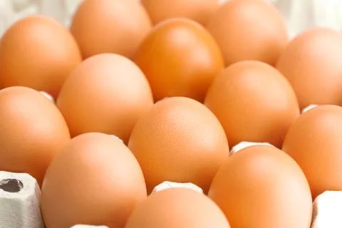 Eggs in the package  isolated on a white Stock Photos