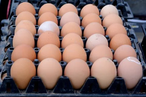 Eggs in the package Stock Photos