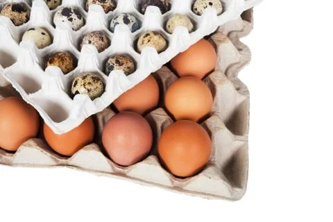 Eggs in the package Stock Photos