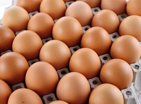 Eggs in the package Stock Photos