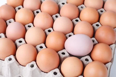 Eggs in the package Stock Photos