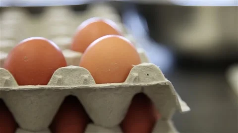 Eggs in package, slider shot Stock Footage 58885649