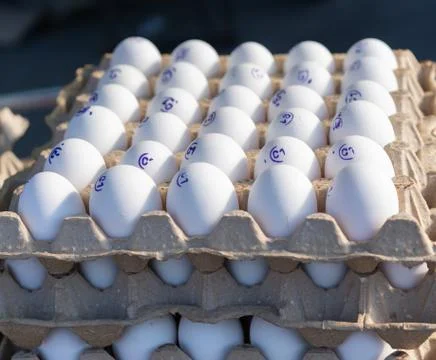 Eggs in packaging as background and texture. Stock Photos