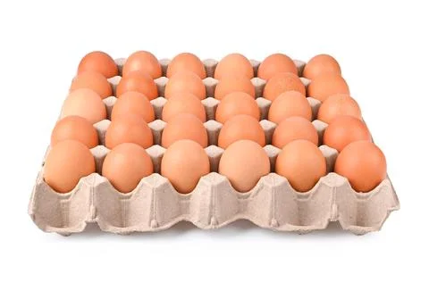 Eggs in packaging isolated on white background. Stock Photos