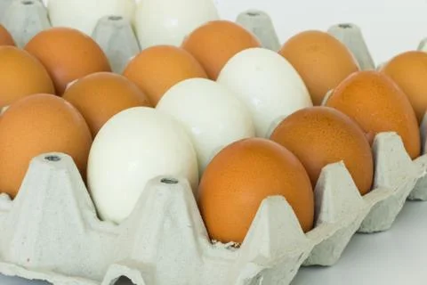 Eggs panel Stock Photos