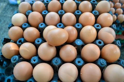 Eggs in the panel Foto stock