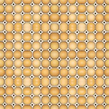 Eggs on panel seamless pattern background Stockfoto's