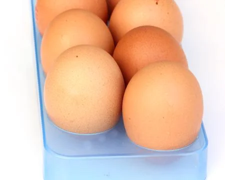 Eggs in panel on white background Stock Photos