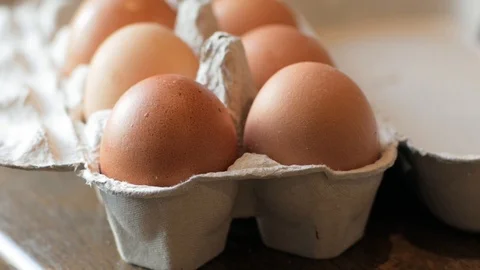 Eggs in paper box Stock Footage 92476724