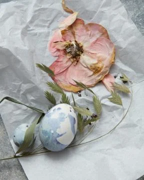 Eggs on a paper Stock-Fotos