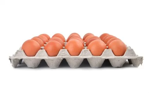 Eggs in paper tray Stock Photos