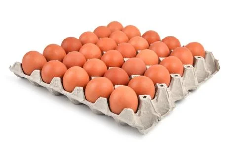 Eggs in paper tray 写真素材