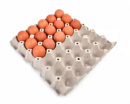 Eggs in paper tray Foto stock
