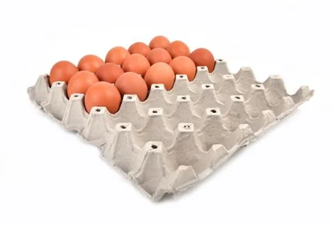 Eggs in paper tray Stock Photos