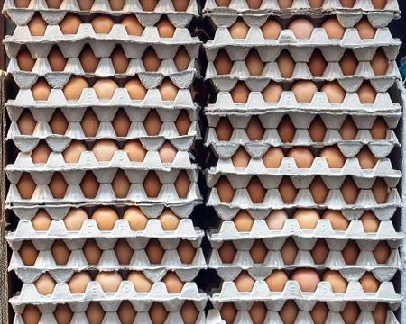 Eggs in paper trays Stock Photos