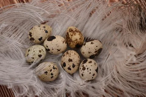 Eggs on pens Stockfoto's