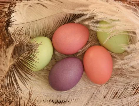 Eggs on pens Stockfoto's