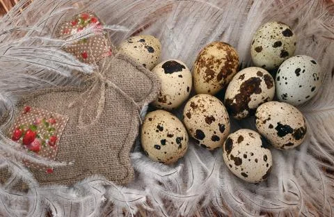 Eggs on pens Stockfoto's