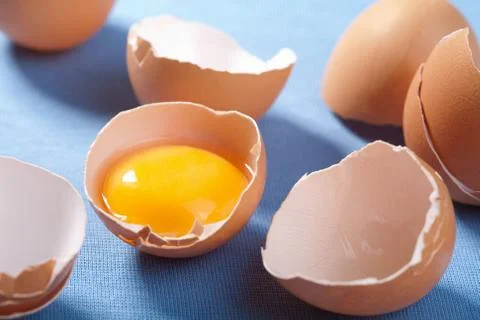 Eggs Stock Photos