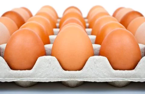 Eggs Stock Photos