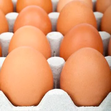 Eggs Stock Photos