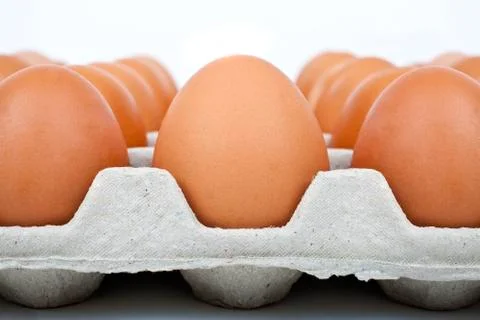Eggs Stock Photos