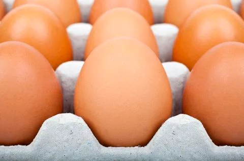 Eggs Stock Photos