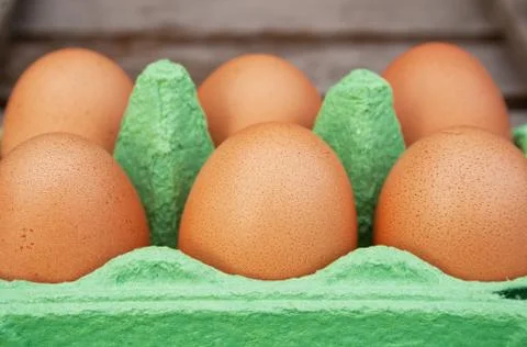 Eggs Stock Photos