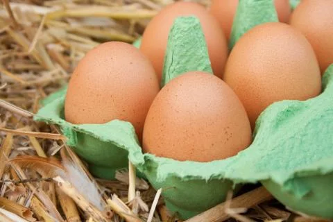 Eggs Stock Photos