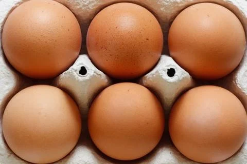 Eggs Stock Photos