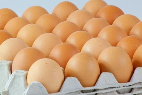 Eggs Stock Photos