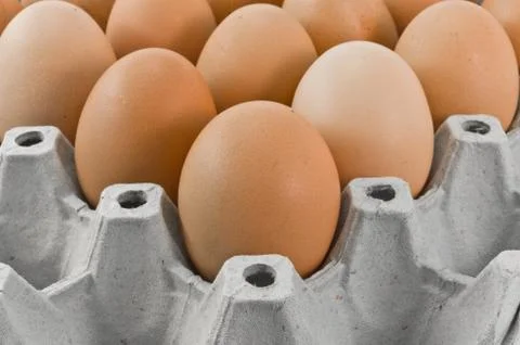 Eggs Stock Photos