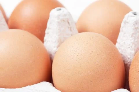 Eggs Stock Photos