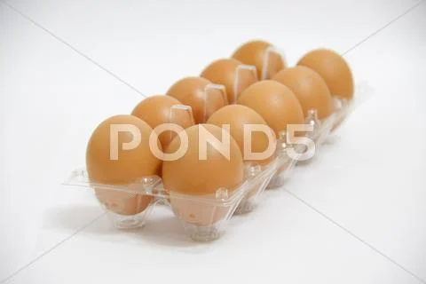 Eggs Stock Photos