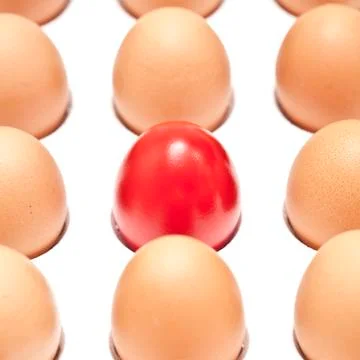 Eggs Stock Photos