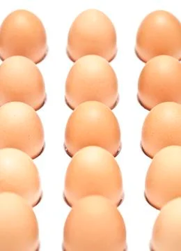 Eggs Stock Photos