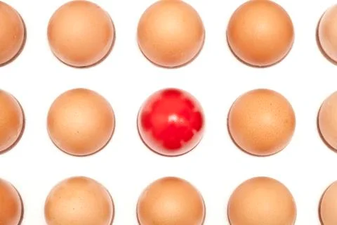 Eggs Stock Photos