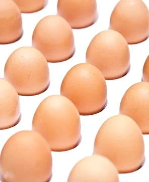 Eggs Stock Photos