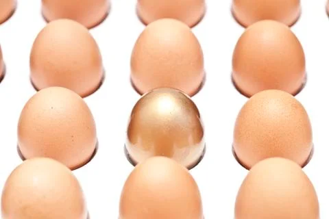 Eggs Stock Photos