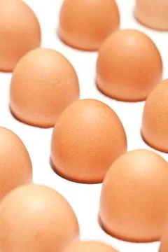 Eggs Stock Photos