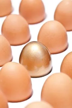 Eggs Stock Photos